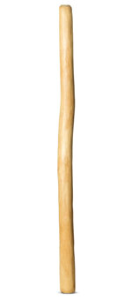 Medium Size Natural Finish Didgeridoo (TW857)